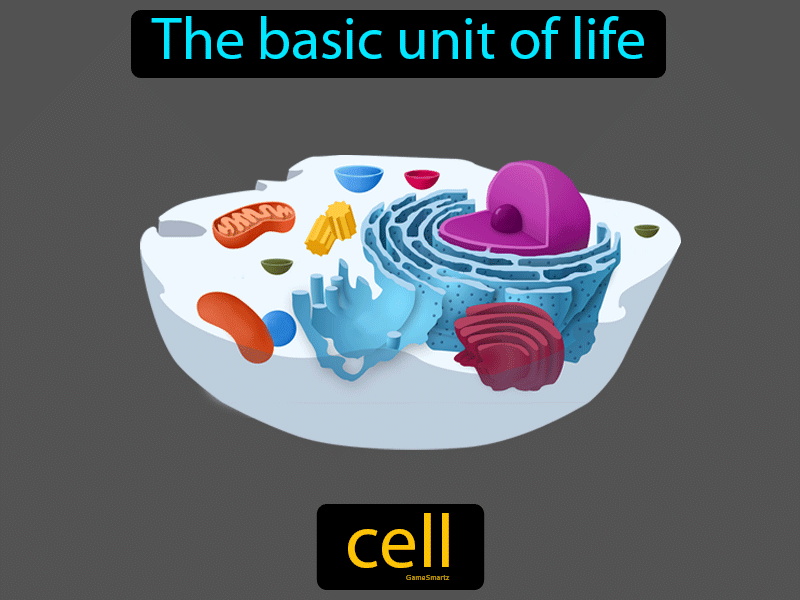 Cell Definition