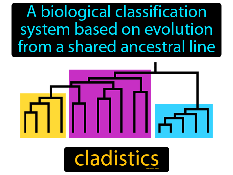 Cladistics Definition