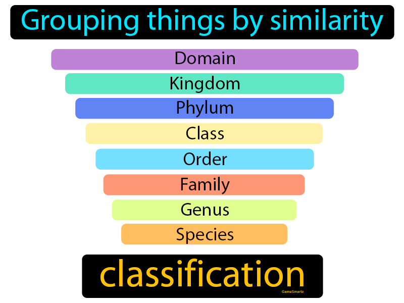 Classification Definition