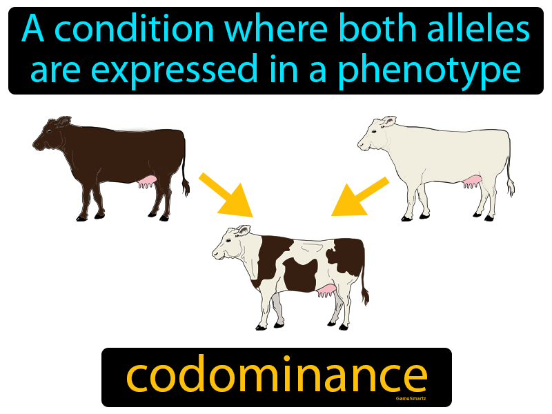 Codominance Definition