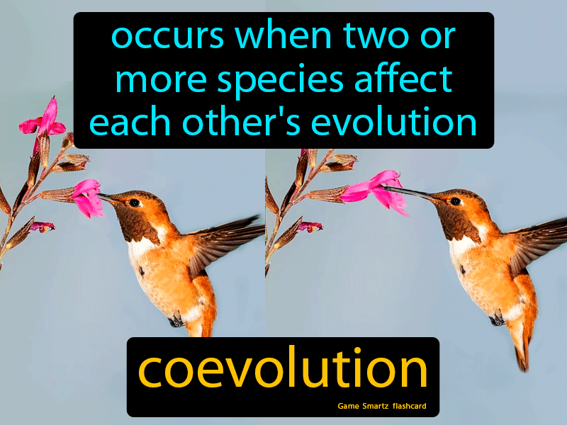 Coevolution Definition