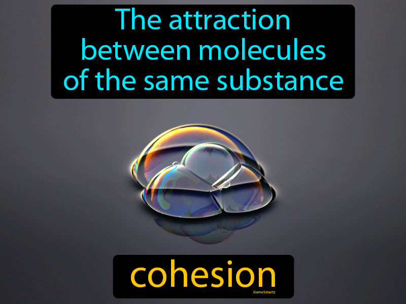 Cohesion Definition