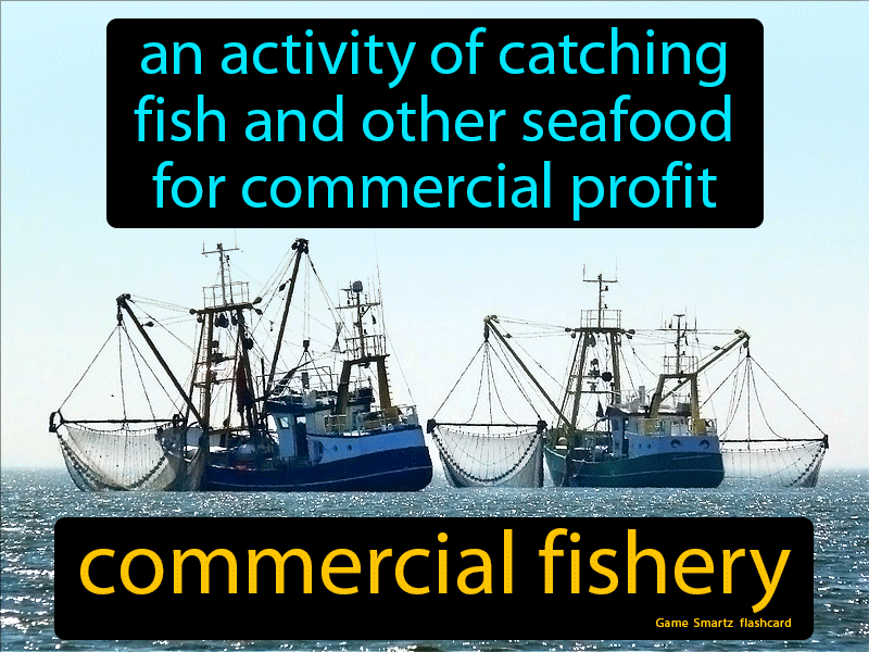 Commercial Fishery Definition