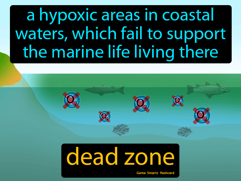 Dead Zone Definition