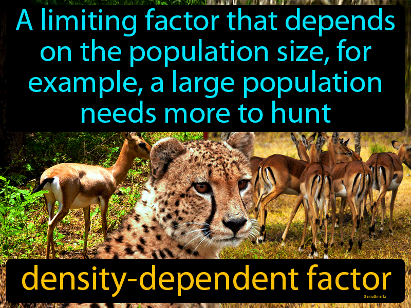 Density Dependent Factor Definition