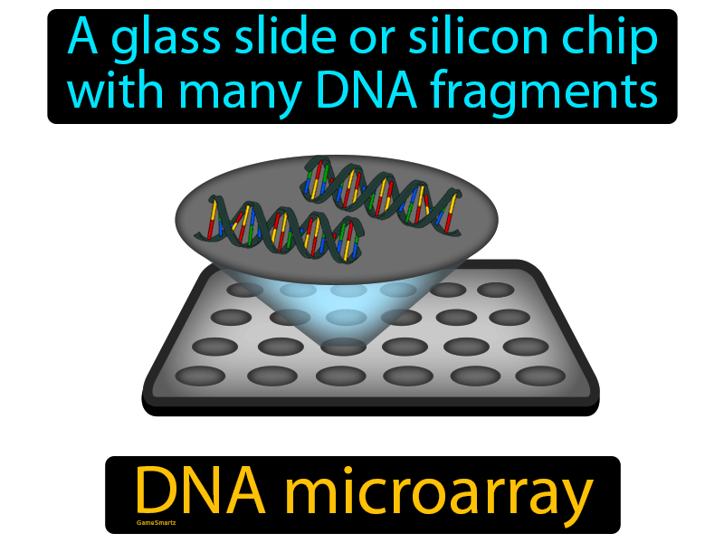 DNA Microarray Definition
