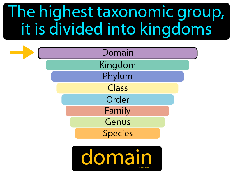 Domain Definition