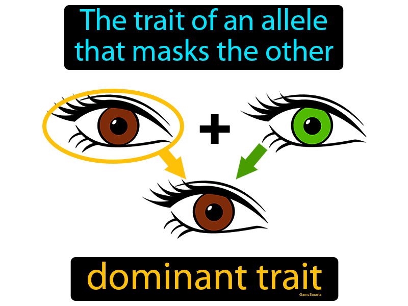 what is the definition of dominant trait