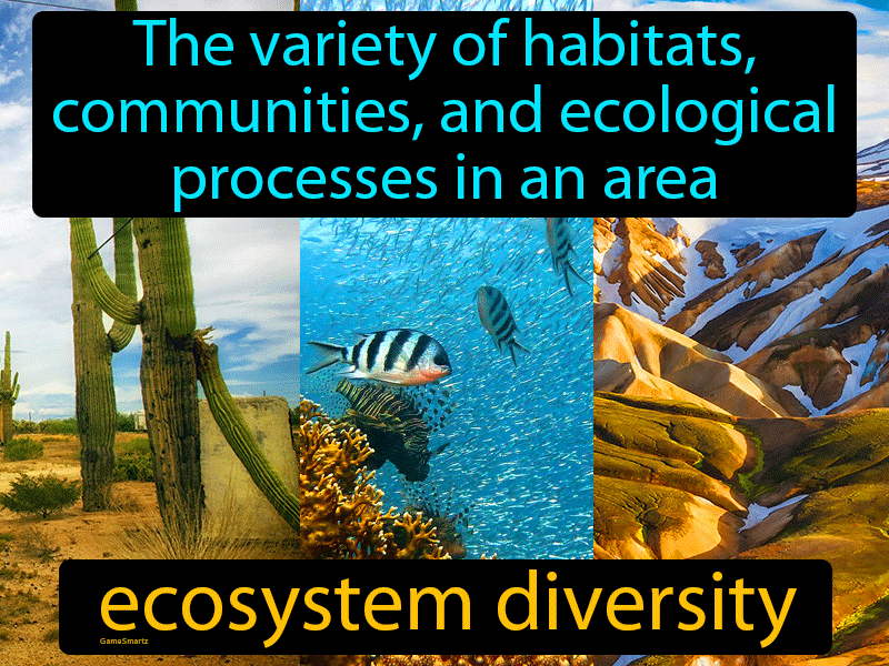 Ecosystem Diversity Definition