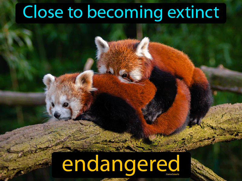 Endangered Definition