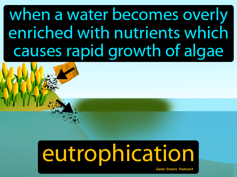 Eutrophication Definition
