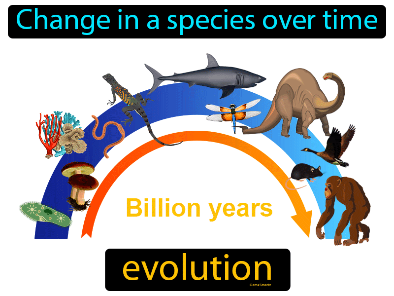 what is a simple definition of evolution