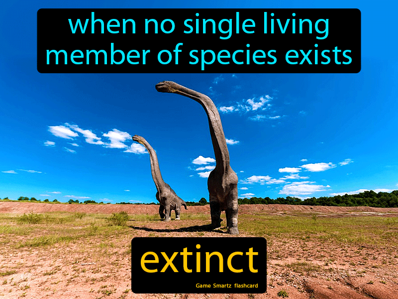 Extinct Definition