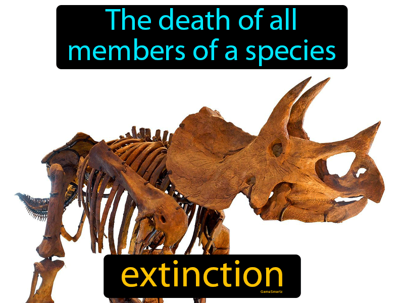 Extinction Definition
