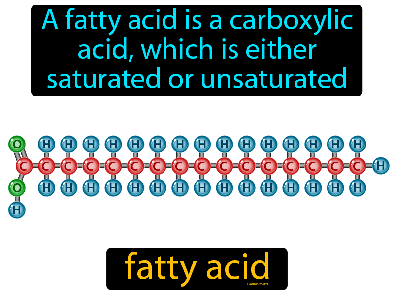 Fatty Acid Definition