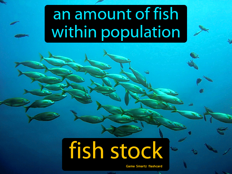 Fish Stock Definition