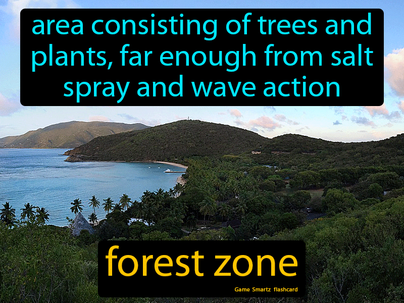 Forest Zone Definition