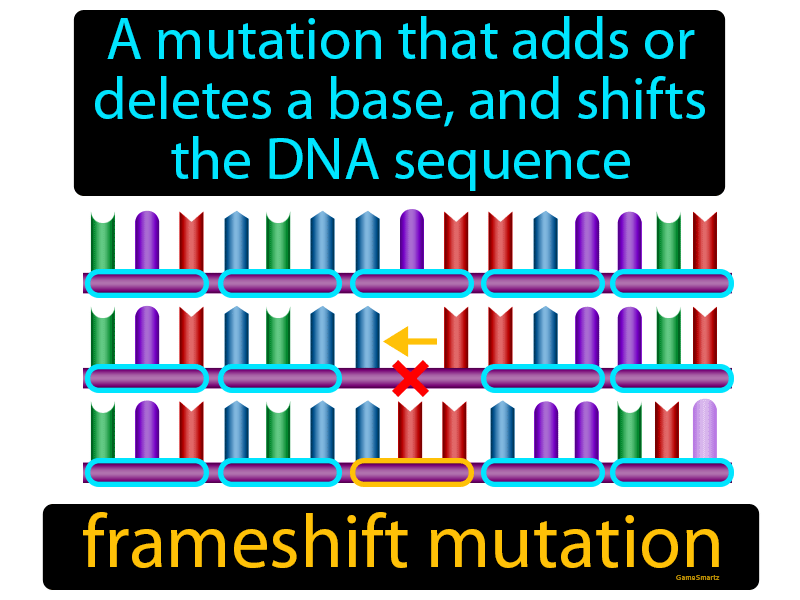 Frameshift Mutation Definition