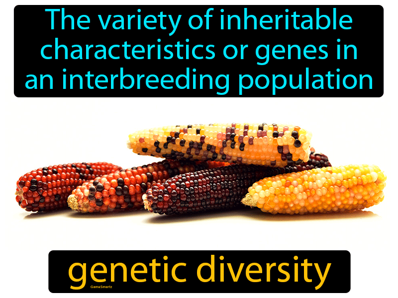 What Is Genetic Diversity In Science