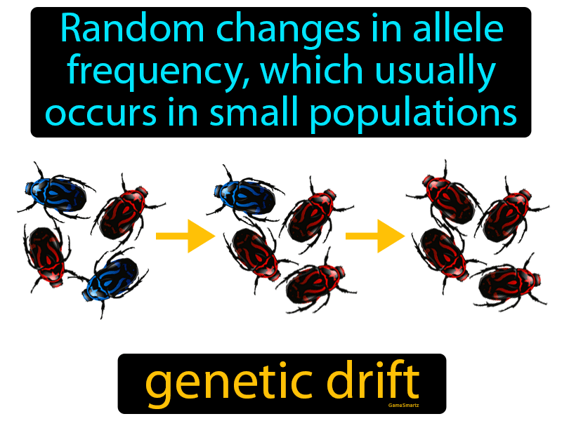 genetic drift pictures