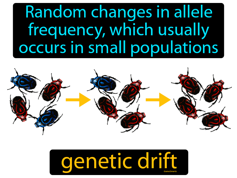 Genetic Drift Definition