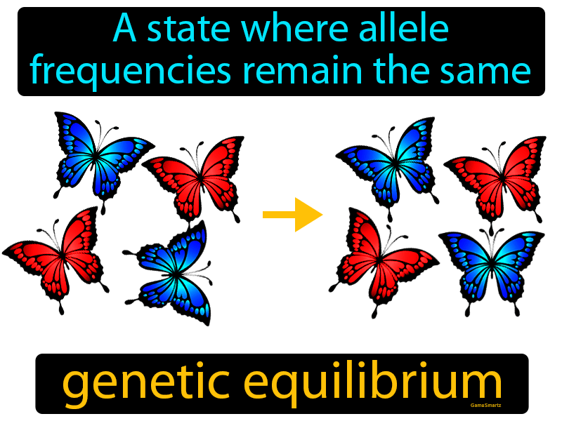 Genetic Equilibrium Definition