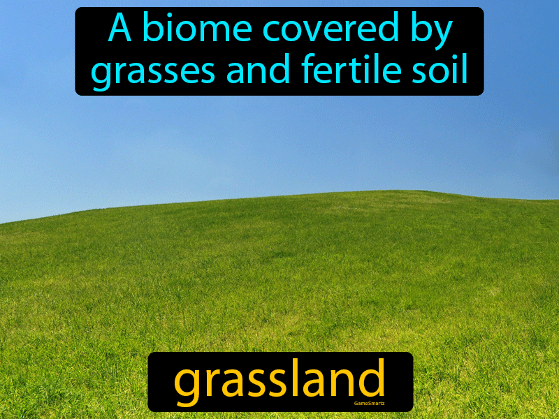 Grassland Definition