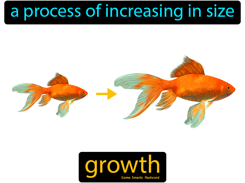 Growth Definition