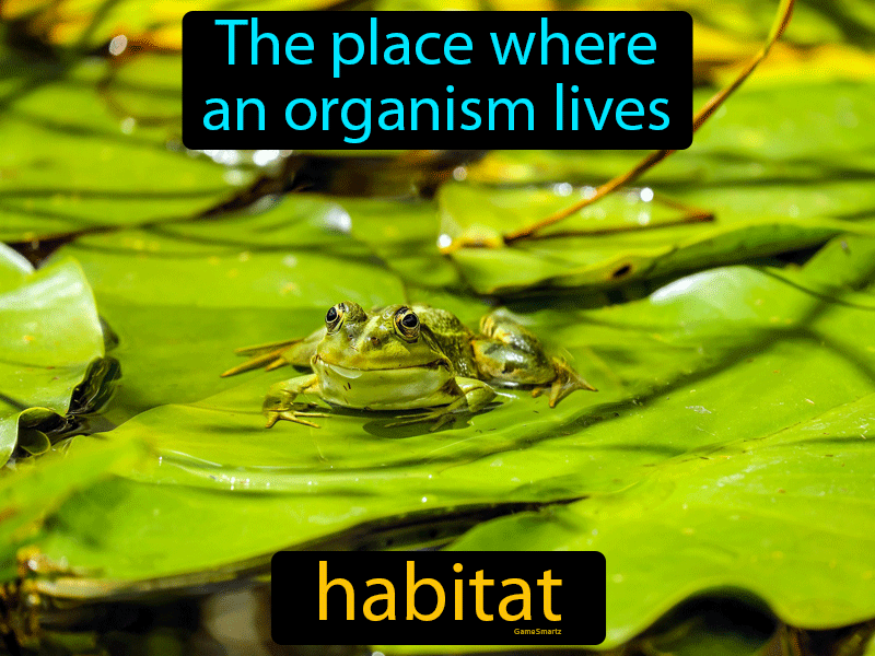 Habitat Definition