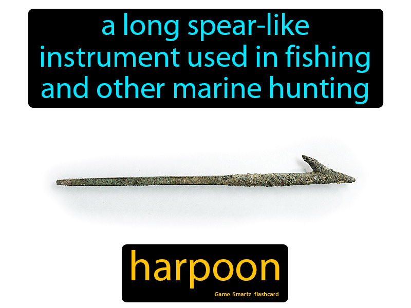 Harpoon Definition