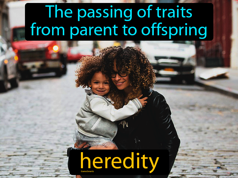 Heredity Definition