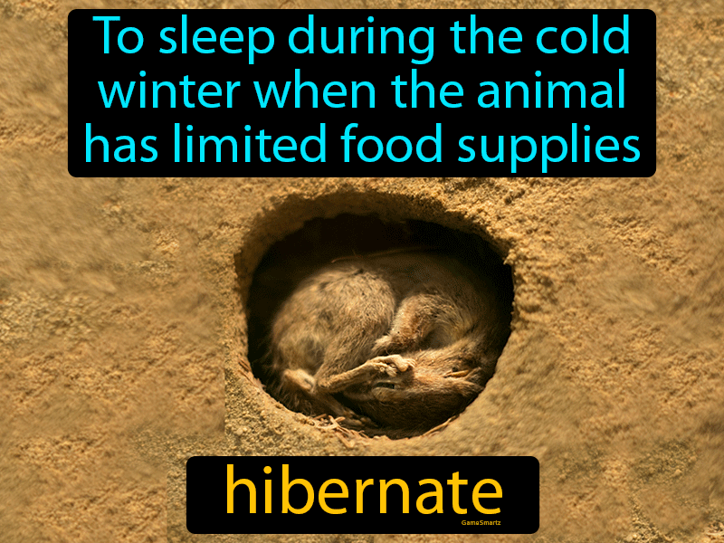 Hibernate Definition