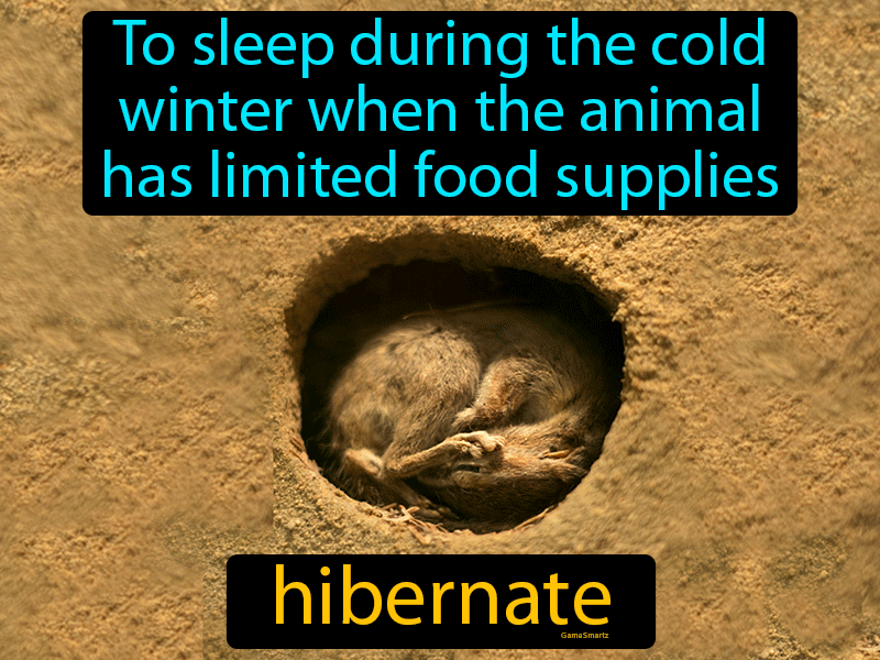 Hibernate 