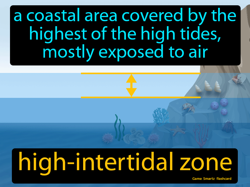 High-intertidal Zone Definition