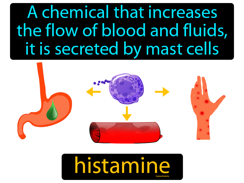 Histamine Definition