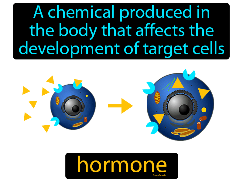 Hormone Definition