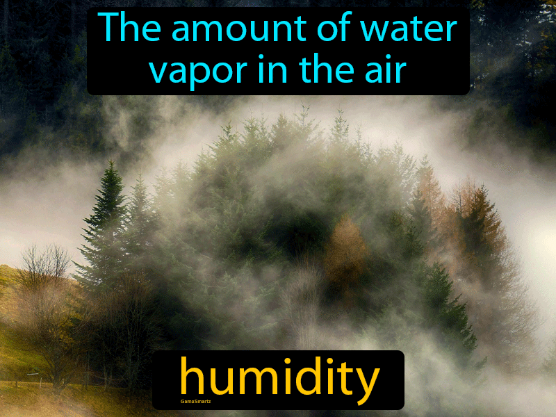Humidity Definition | GameSmartz