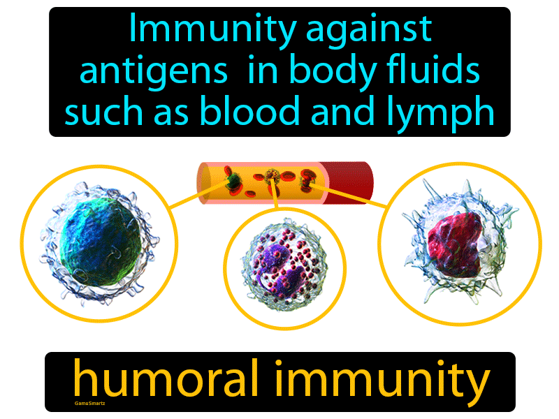 Humoral Immunity Definition