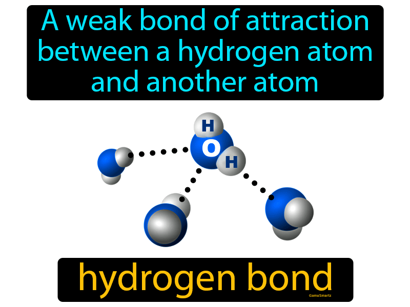 Hydrogen Bond Definition