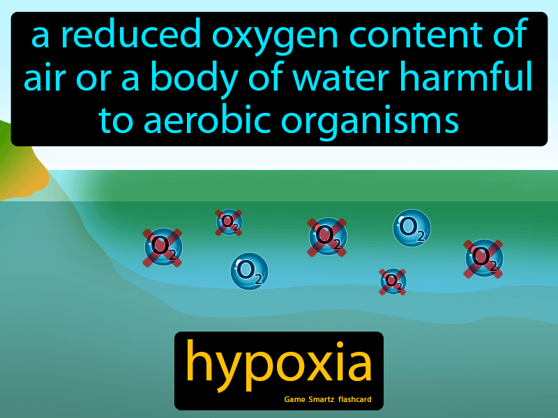 Hypoxia Definition