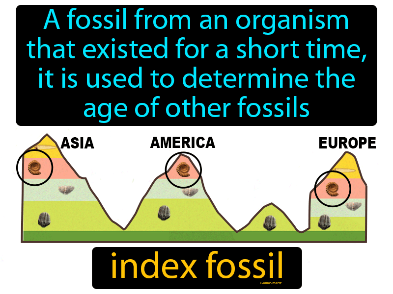 Index Fossil Definition