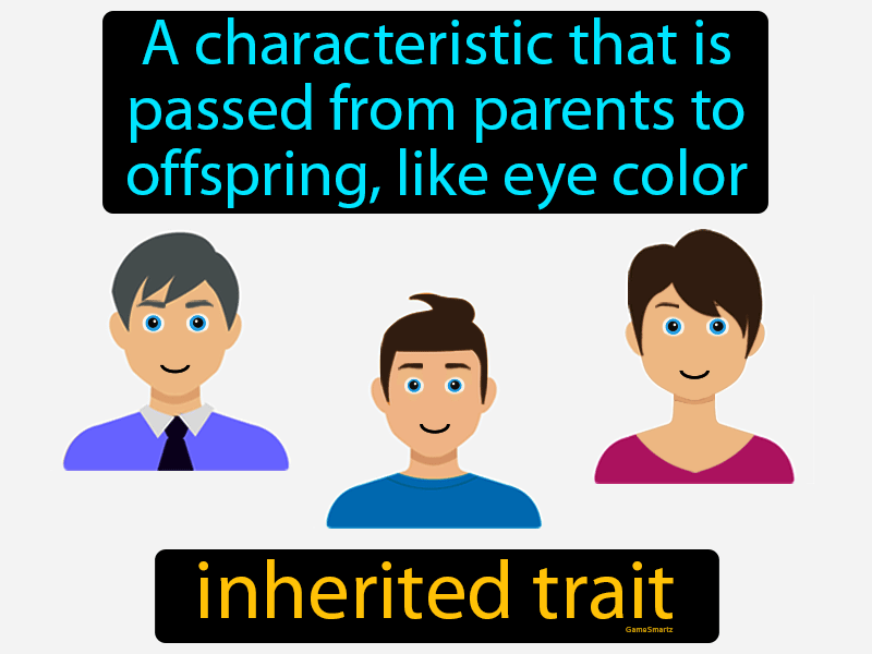 Inherited Trait Definition Image GameSmartz