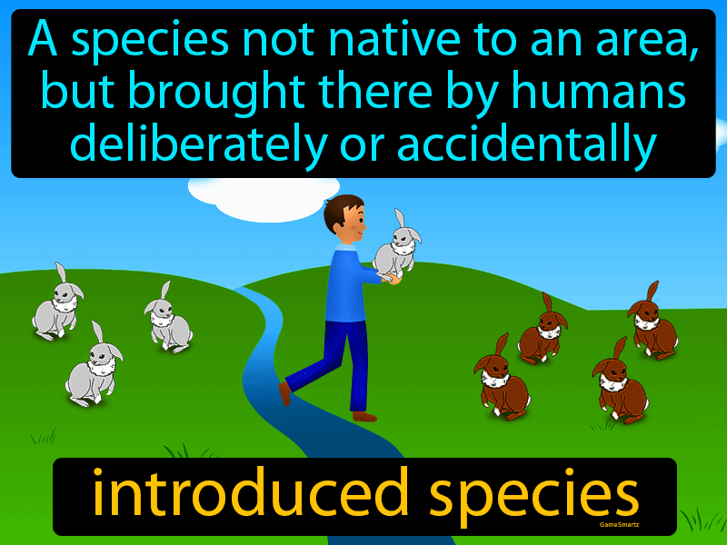 Introduced Species Definition