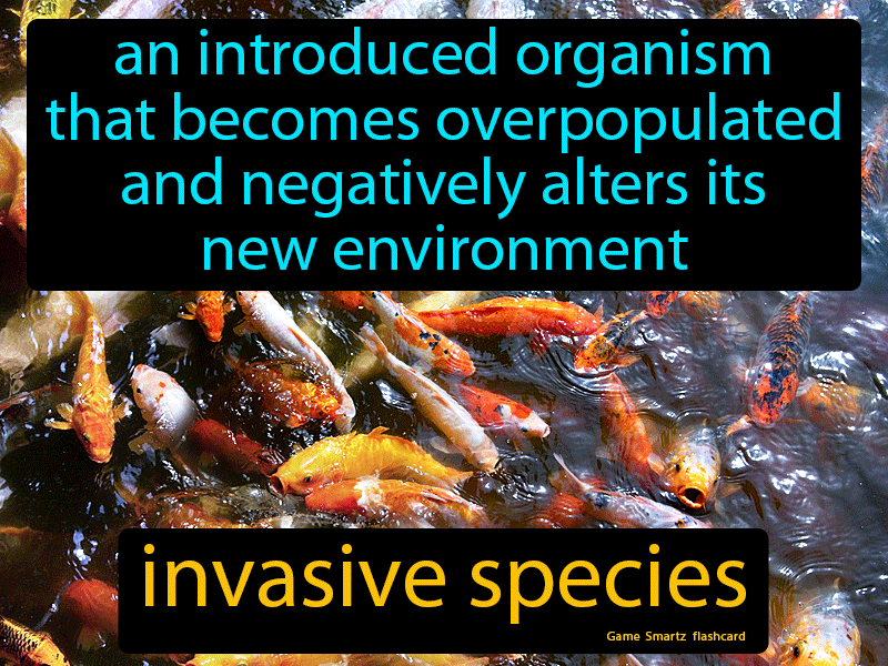 Invasive Species Definition