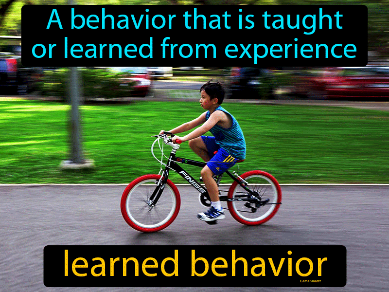 Learned Behavior Definition