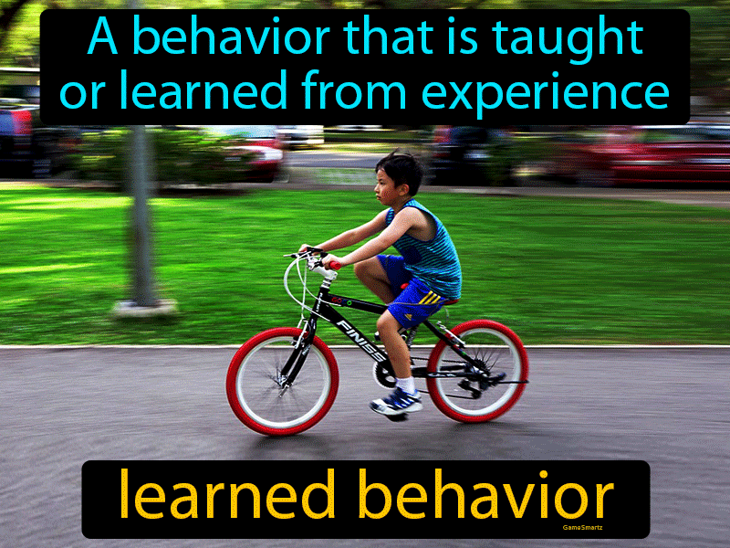 Learned Behavior Meaning In Science