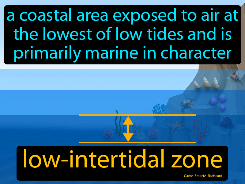 Low-intertidal Zone Definition