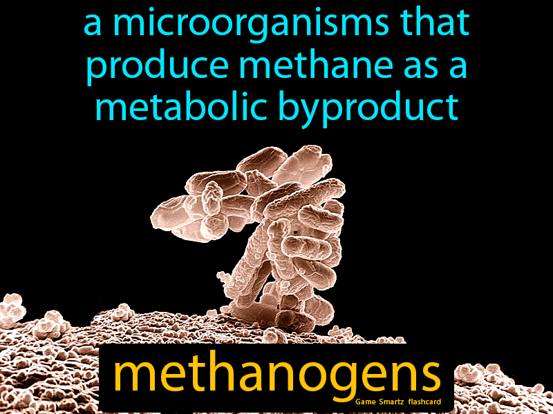 Methanogens Definition