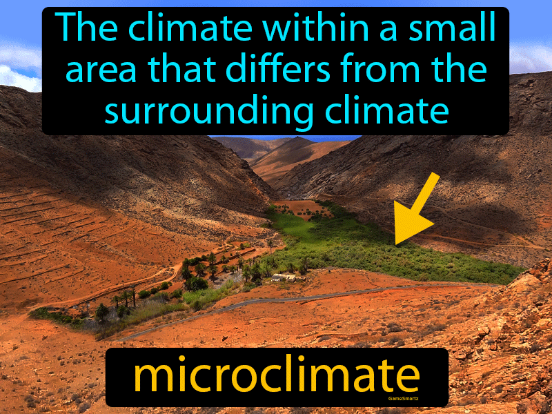 Microclimate Definition