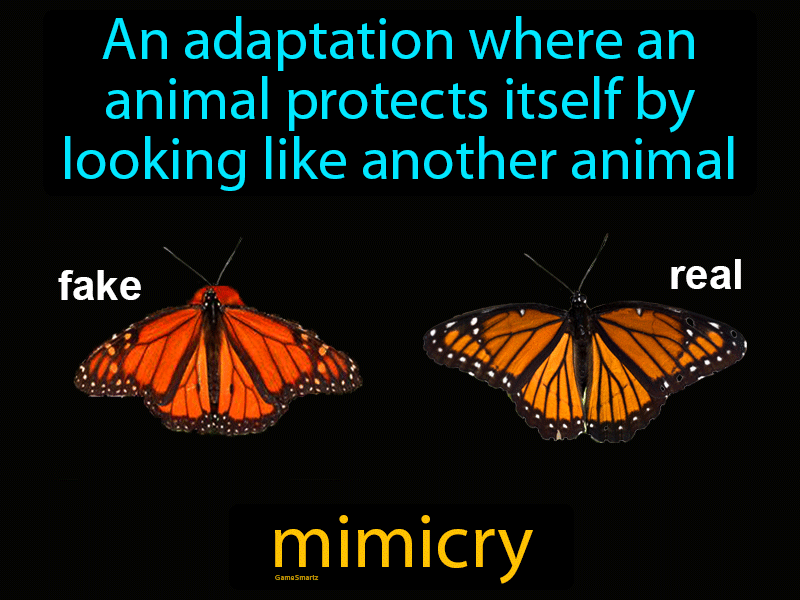 Mimicry Definition
